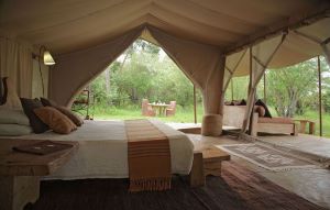 Spacious Rooms in Masai mara